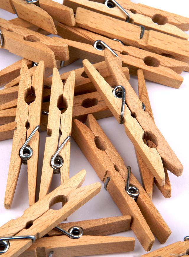 為什么木制品出口需要熏蒸？解析國際木材貿易的重要防疫措施