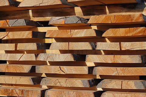 帕拉什卡·瓦達 阿邁德那加爾帕拉什地區結構木制品與精美雕刻構件的典范